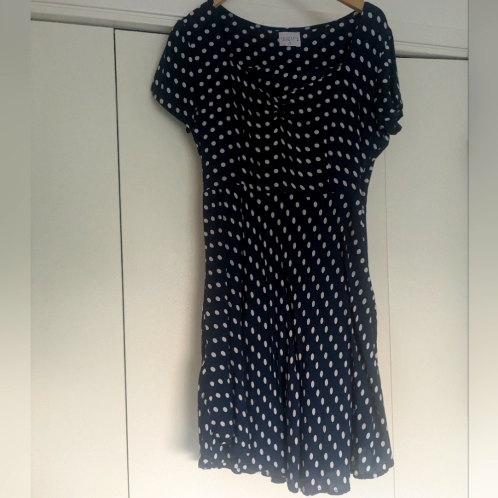 Blue and white retro polka dot dress